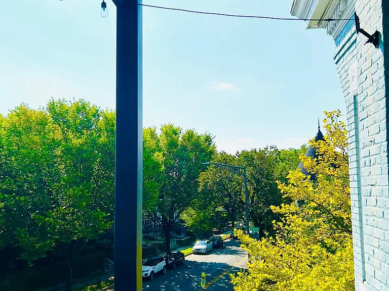 Window View