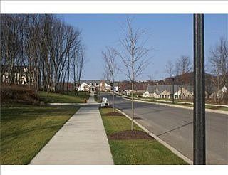 5th image of 814 Westminster Ln
