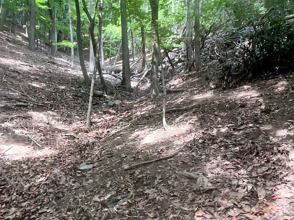 3rd image of 1127 Quail Cove Dr
