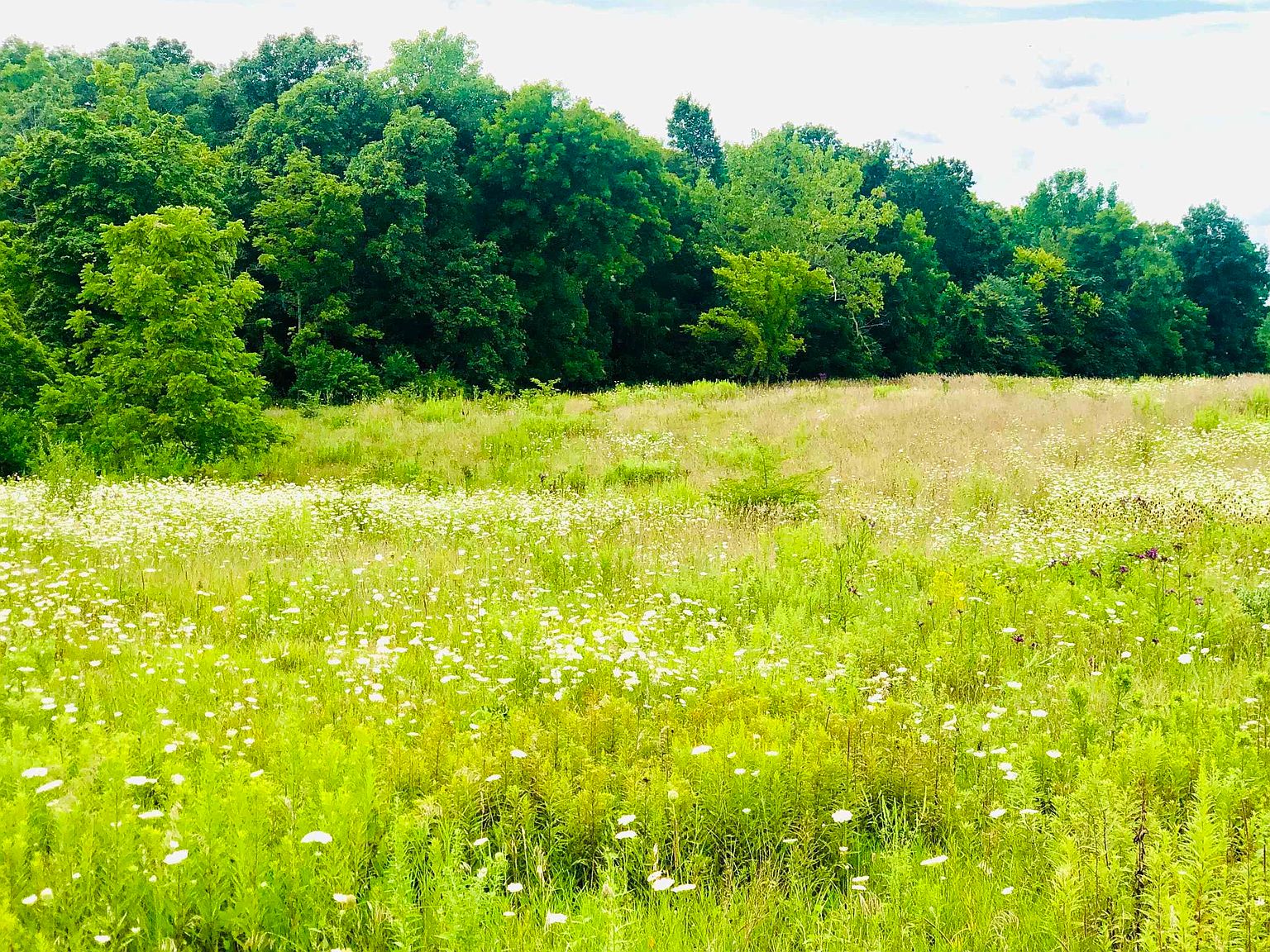 E Division Rd, Lagro, IN 46941 Zillow