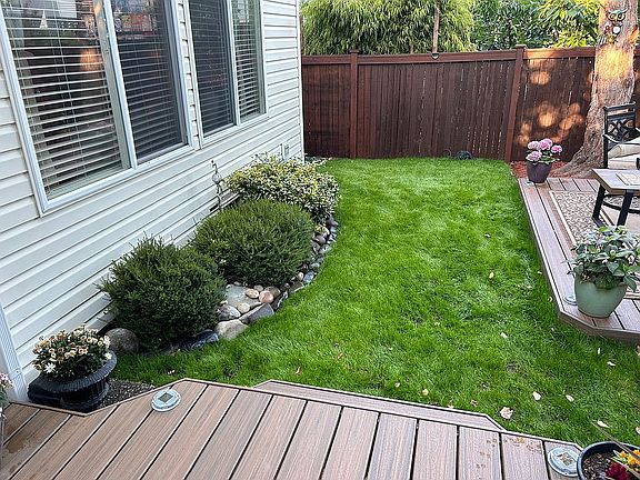 Grass covered backyard lawn 