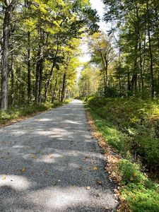 (Undisclosed Address), Norfolk, CT, 06058