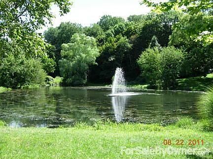 Allison Pond
						:
						Park and pond across from house