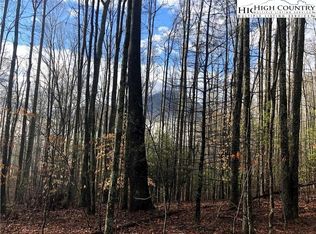 Tbd Highway 88 W, Creston, NC 28615