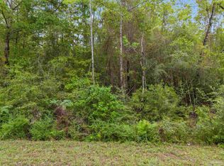 1 Mineral Springs Rd, Jay, FL 32565