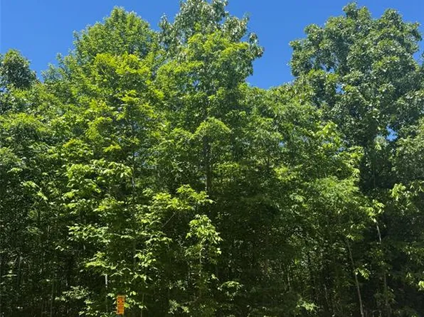 25 Ridge Rd Lot 25, Watson, OK 74963