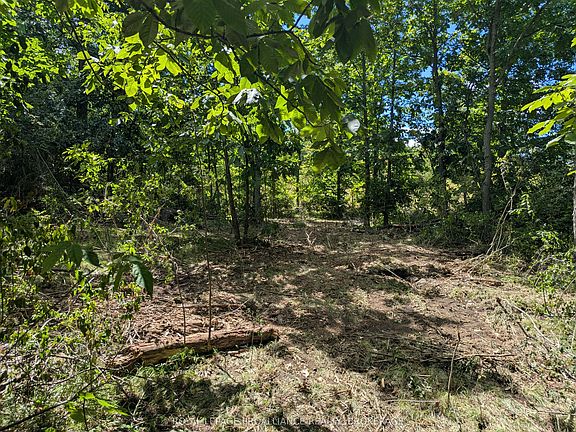 4th image of 2622 4th Concession Rd