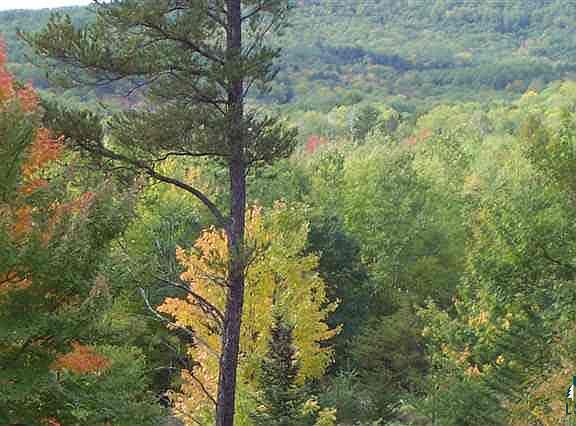 4th image of 26420 Freedom Valley # 3/4 Lot # 3, Valhalla Trail Subdivision