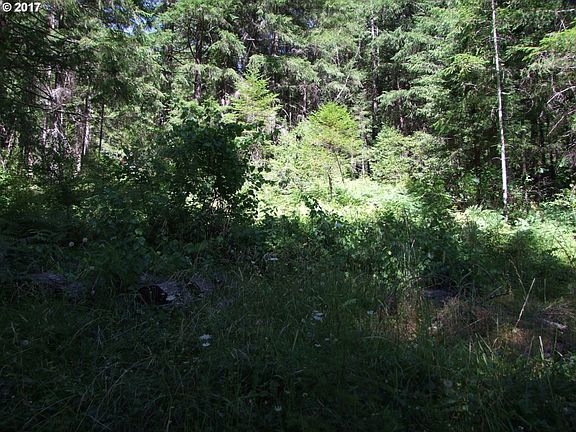 5th image of 211 Evergreen Ln