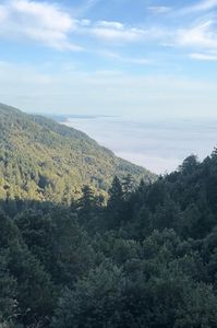 0 Bear Ct, Whitethorn, CA, 95589