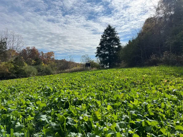 0 Harriett Rd, Hillsboro, OH 45133