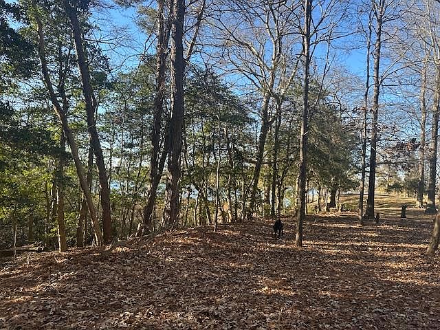 1st image of 235 White Sand Dr