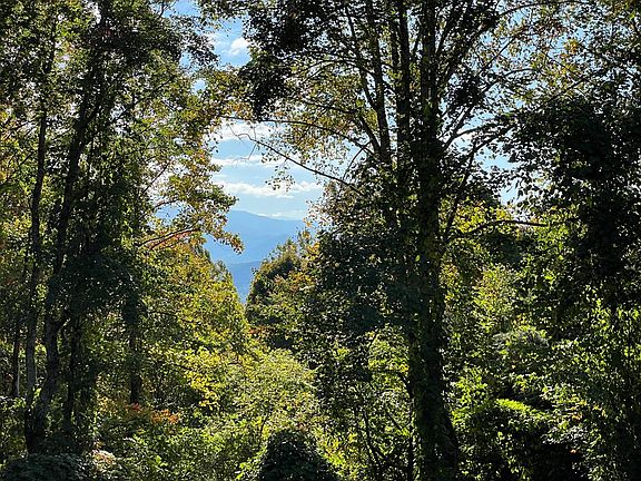 5th image of TRACT 18 Faith Mountain Way