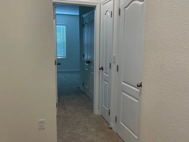1249 Yellow Finch Dr — Photo 26