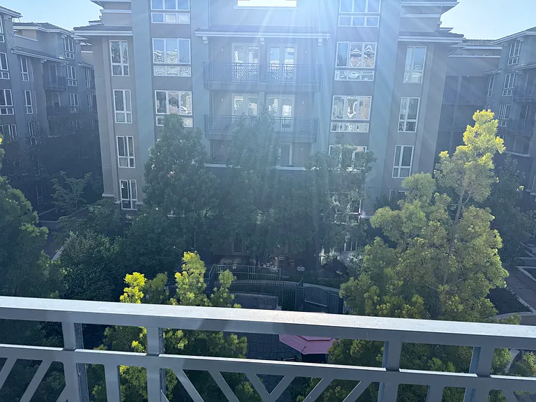 View from patio.