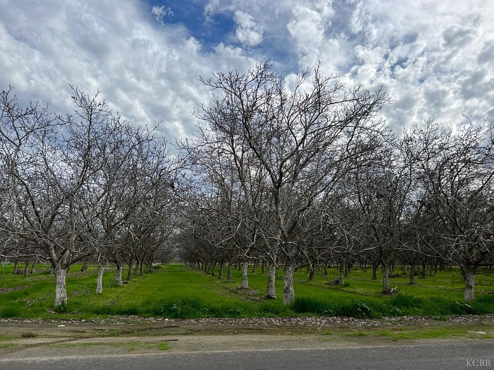 2nd image of 18 3/4 Avenue