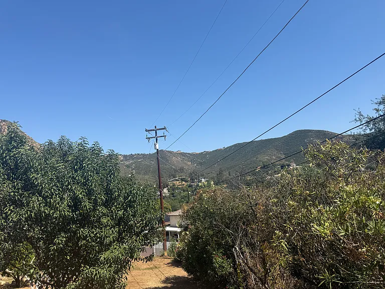 262 Editha Dr — Photo 14