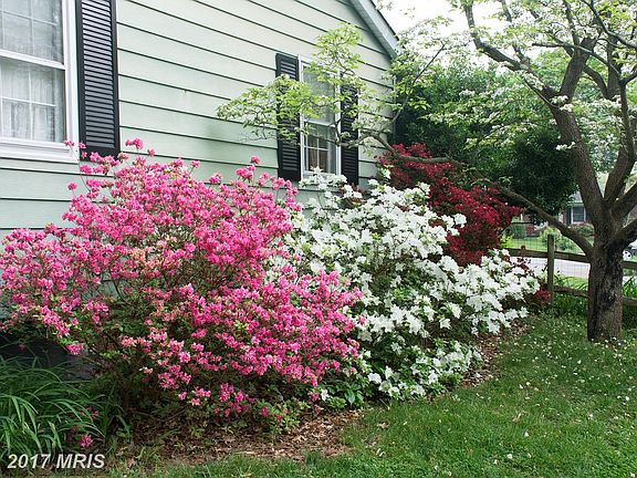 Side yard is not forgotten.