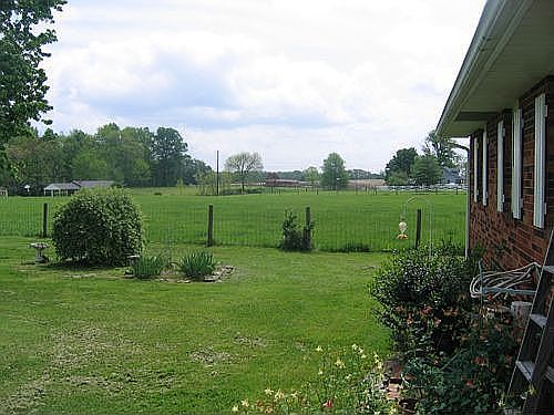 Beautiful & pictuesque views of the countryside