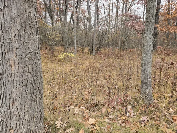 N Woodbridge Dr, Bitely, MI 49309