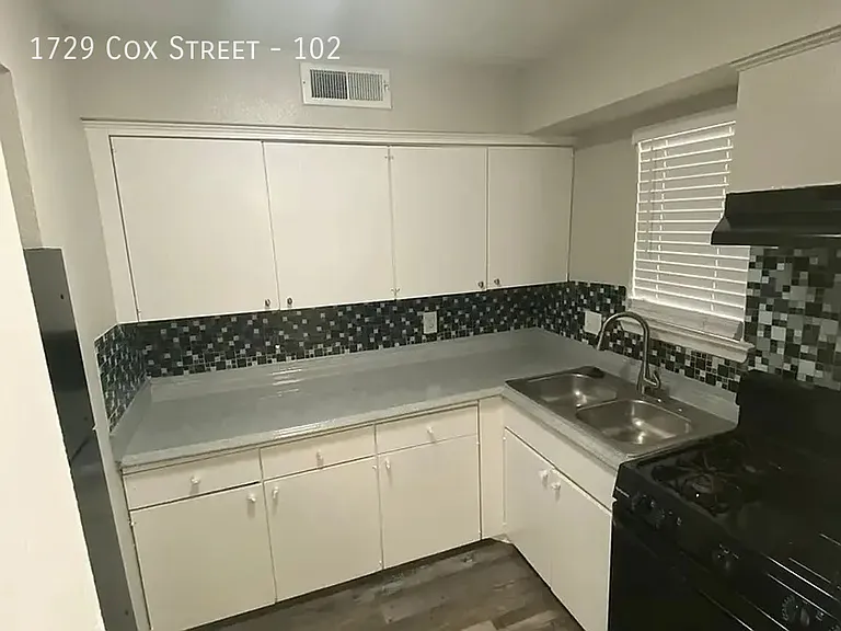 1729 Cox St — Photo 83