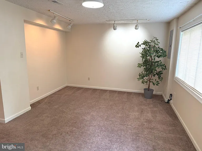 12866 Bison Ct — Photo 15