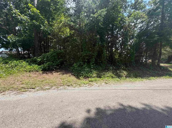 0 Holliday Dr #6, Oneonta, AL 35121