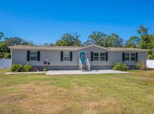9010 Scott Wilson Ln, Odessa, FL 33556
