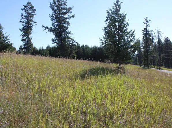 220 Spurwing Loop, Lakeside, MT 59922
