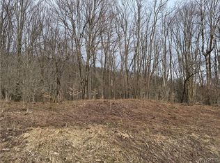 0 Haines Hollow Rd Lot 1, Great Valley, NY 14741