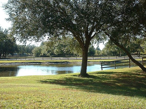 Back of house looking south at  dressage ring.