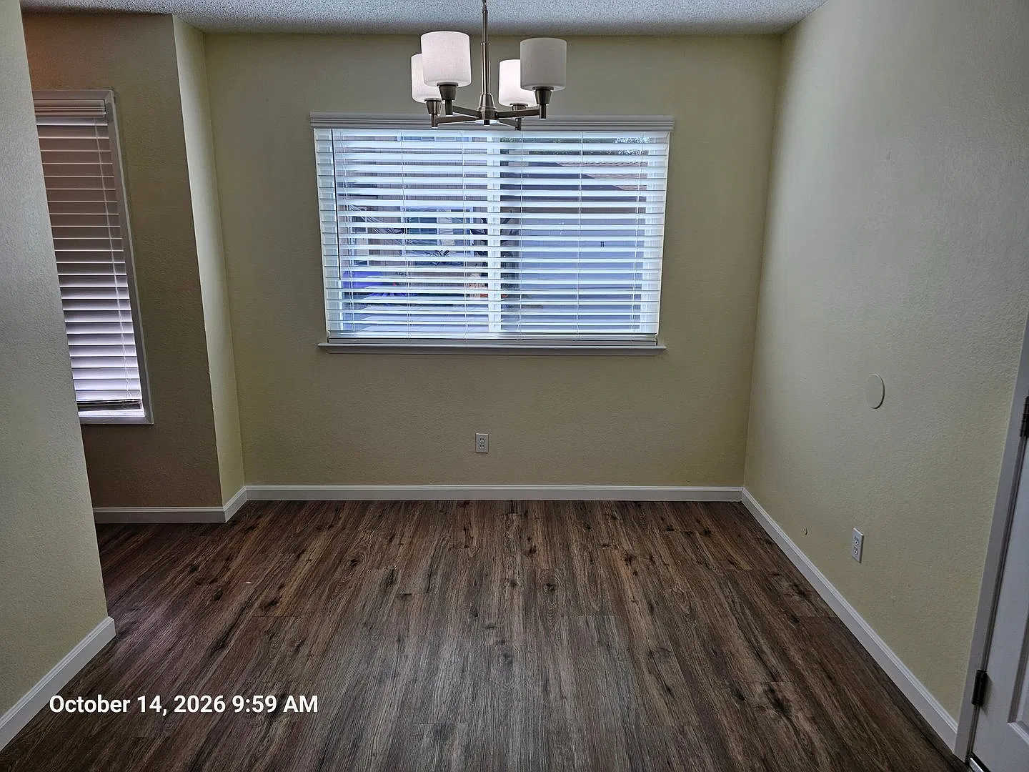 462cherry — Photo 3