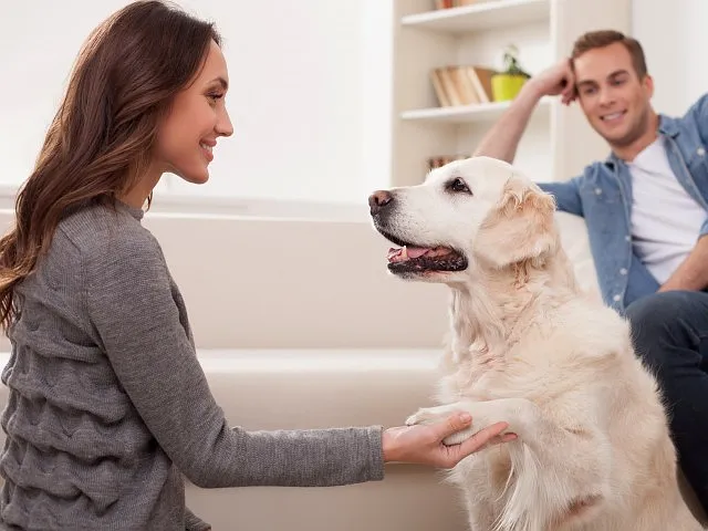 Pets are Welcome at Van Allen Apartments