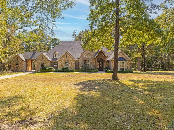 19587 Meadowood Ln, Tyler, TX 75703