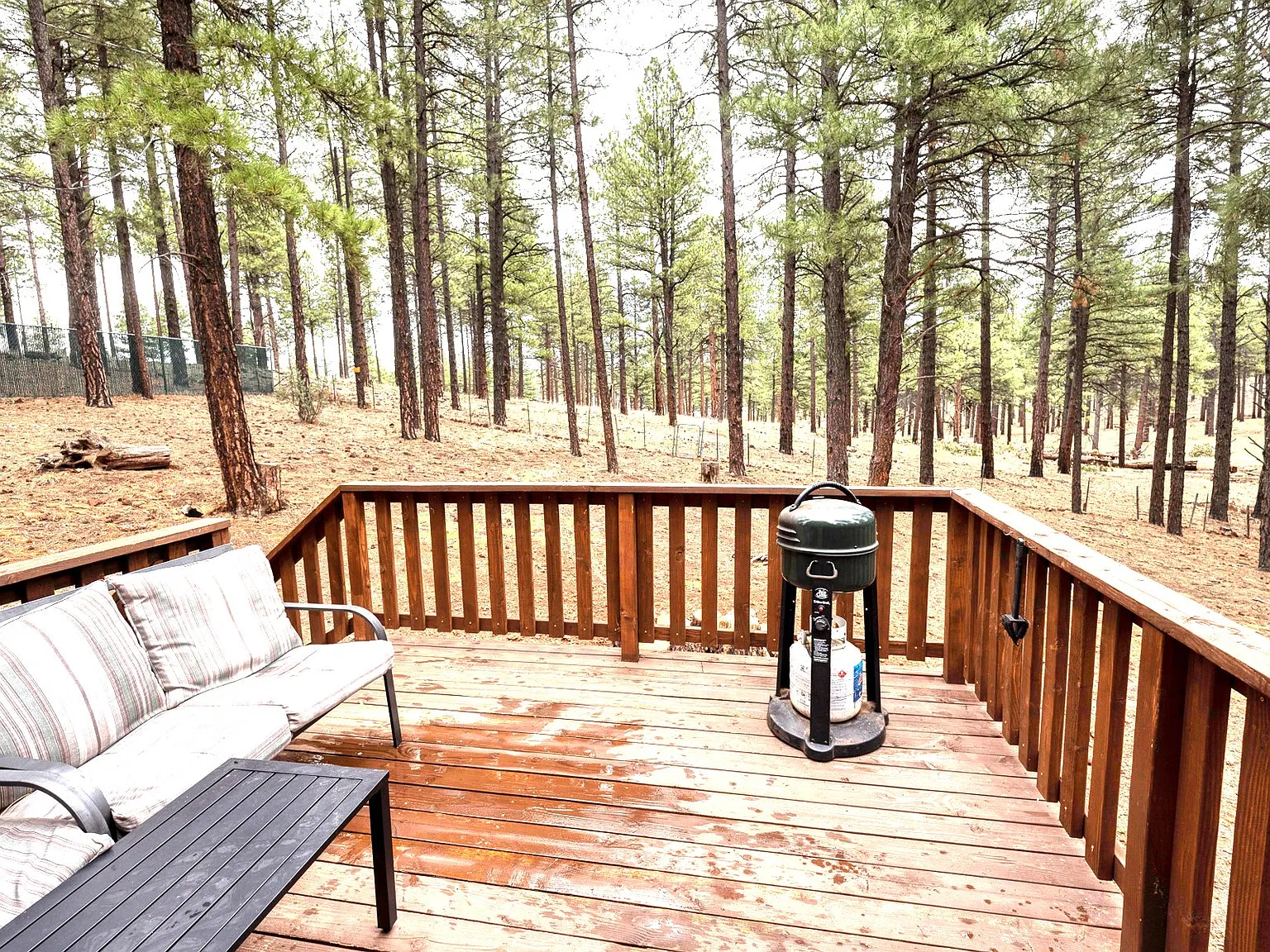 2 Bed/ 1 bath Near Parks, AZ — Photo 3