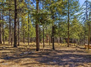 20 County Road 2067, Alpine, AZ 85920