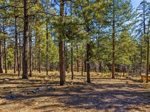 20 County Road 2067, Alpine, AZ 85920