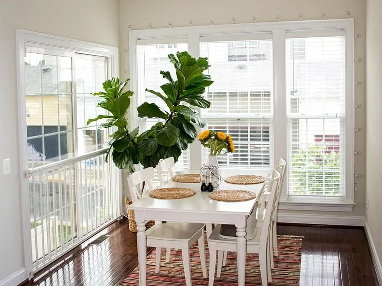 415 Virginia Wildflower Ter SE — Photo 4