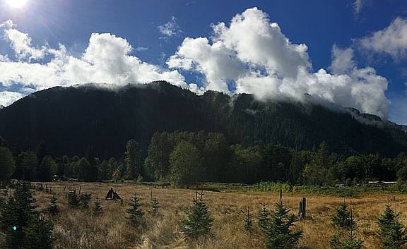 8.2 acres