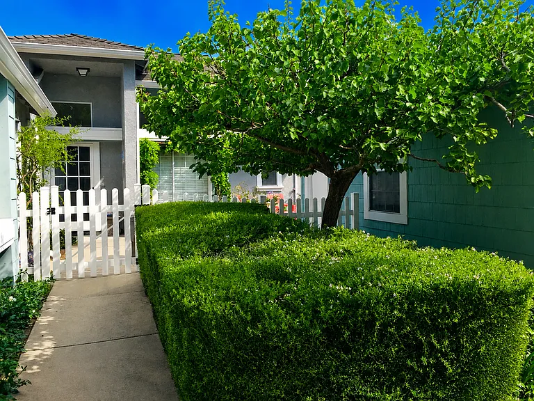 911 Bluebell Way — Photo 2