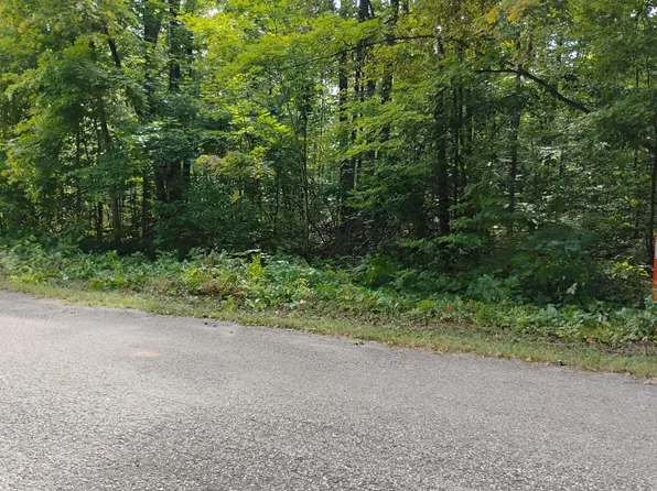 Valleyridge Cir, Alba, MI 49611
