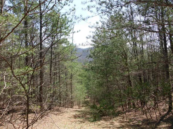 Smithfield Rd, Tellico Plains, TN 37385