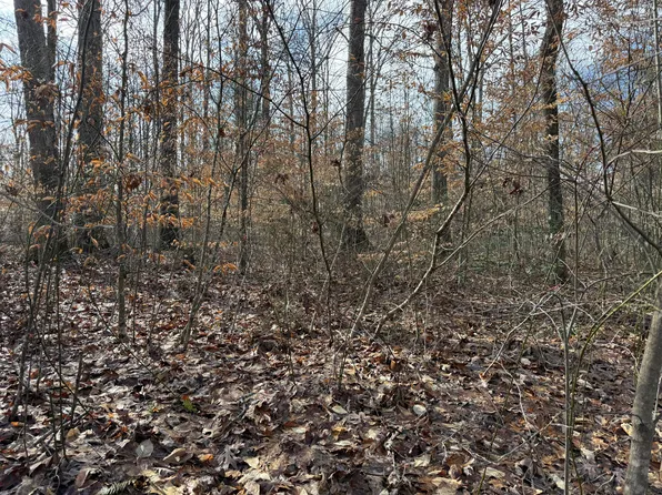 16 River Gorge Dr, Fayetteville, WV 25840