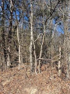 0 Banther Rd, Harrison, TN, 37341