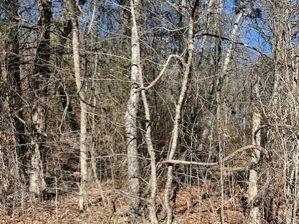 0 Banther Rd, Harrison, TN 37341