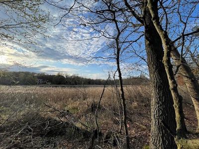 Bryant Ave, Saint Paul, MN, 55115