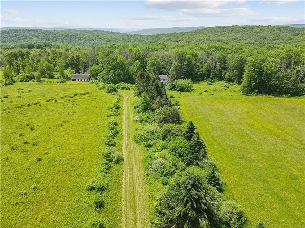 90 Parsons Hill Rd, Berkshire, NY 13736