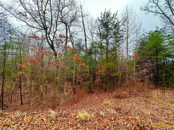 45 N Ridge Run Rd, Boomer, NC 28606