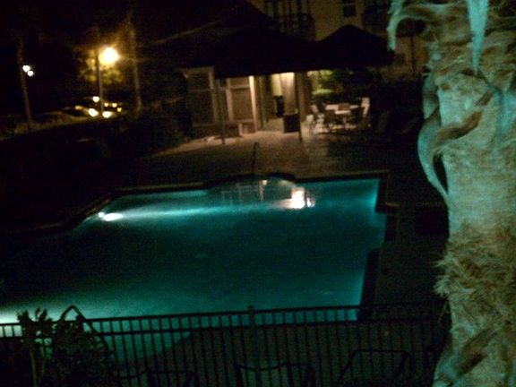 5th image of 2938 Bayshore Pointe Dr