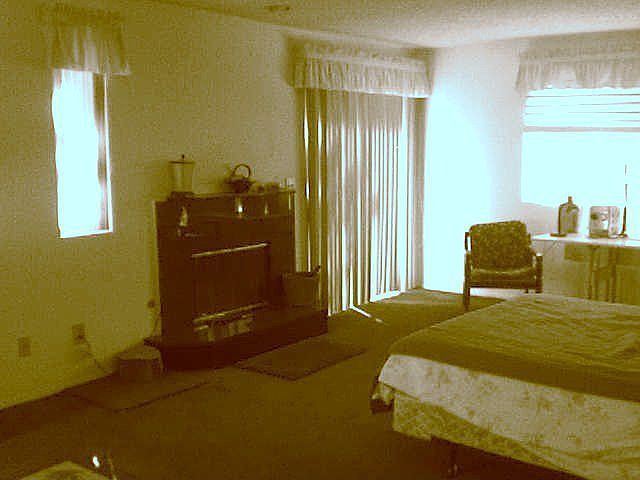 master suite with fireplace and jacuzzi under skylight in private bath